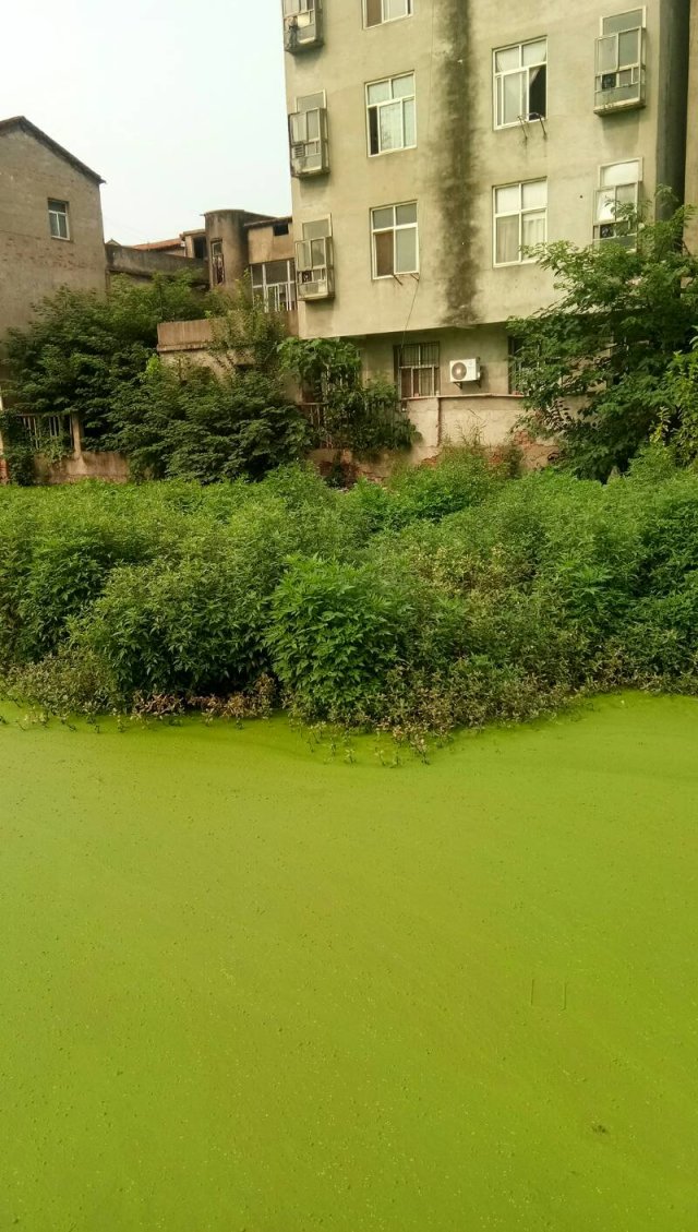 点击查看高清原图 点击查看高清原图